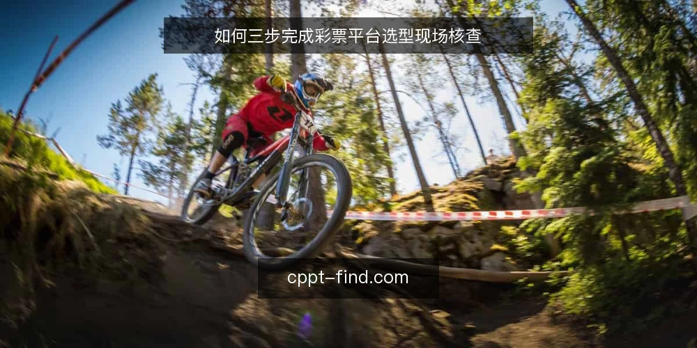 如何三步完成彩票平台选型现场核查 — 现场信号：先看这些再谈功能 配图
